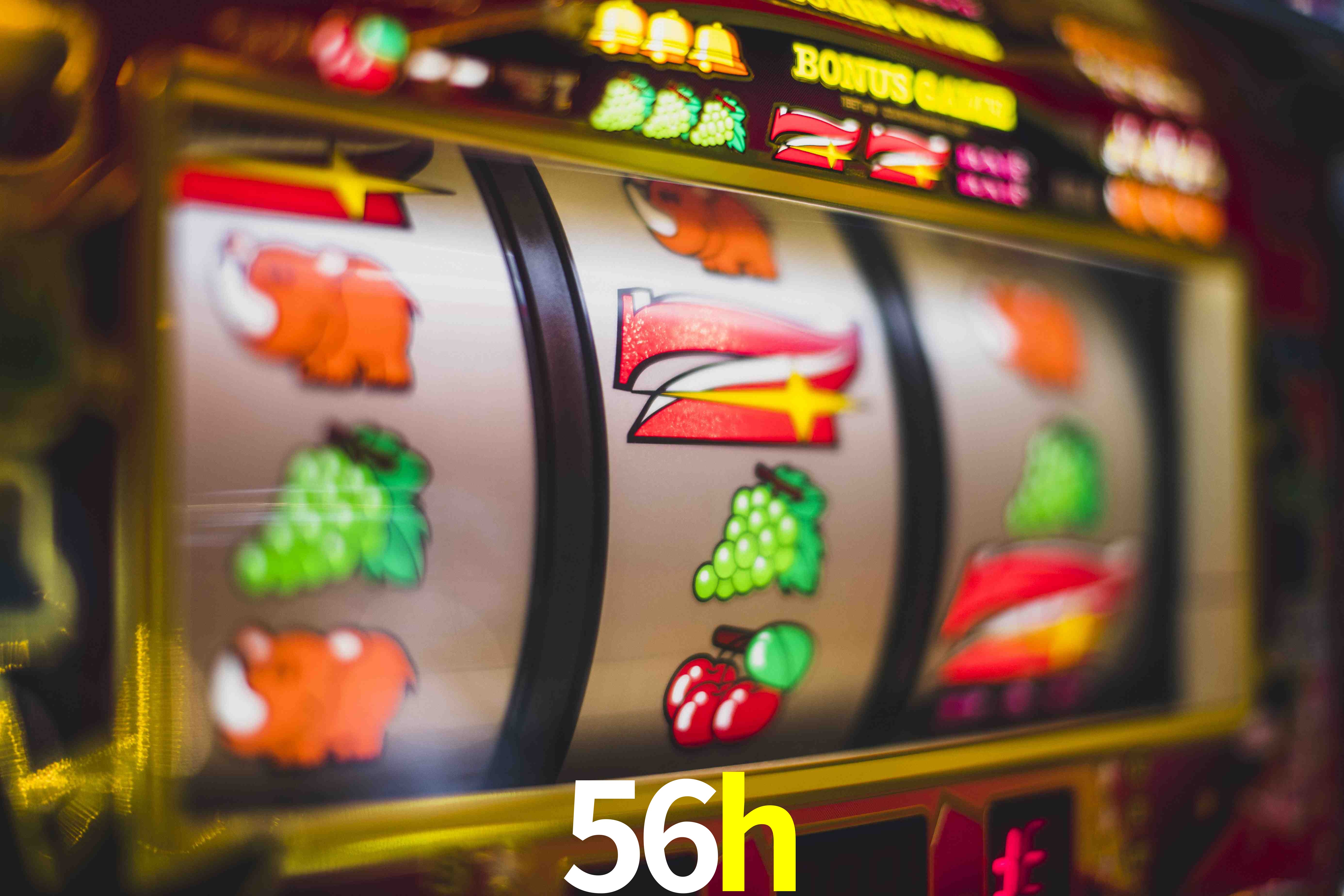 Football Betting 56h